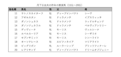 丹下日出夫の昨年の推奨馬（11-20位）